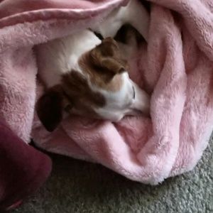 Meet your Posher, Patty